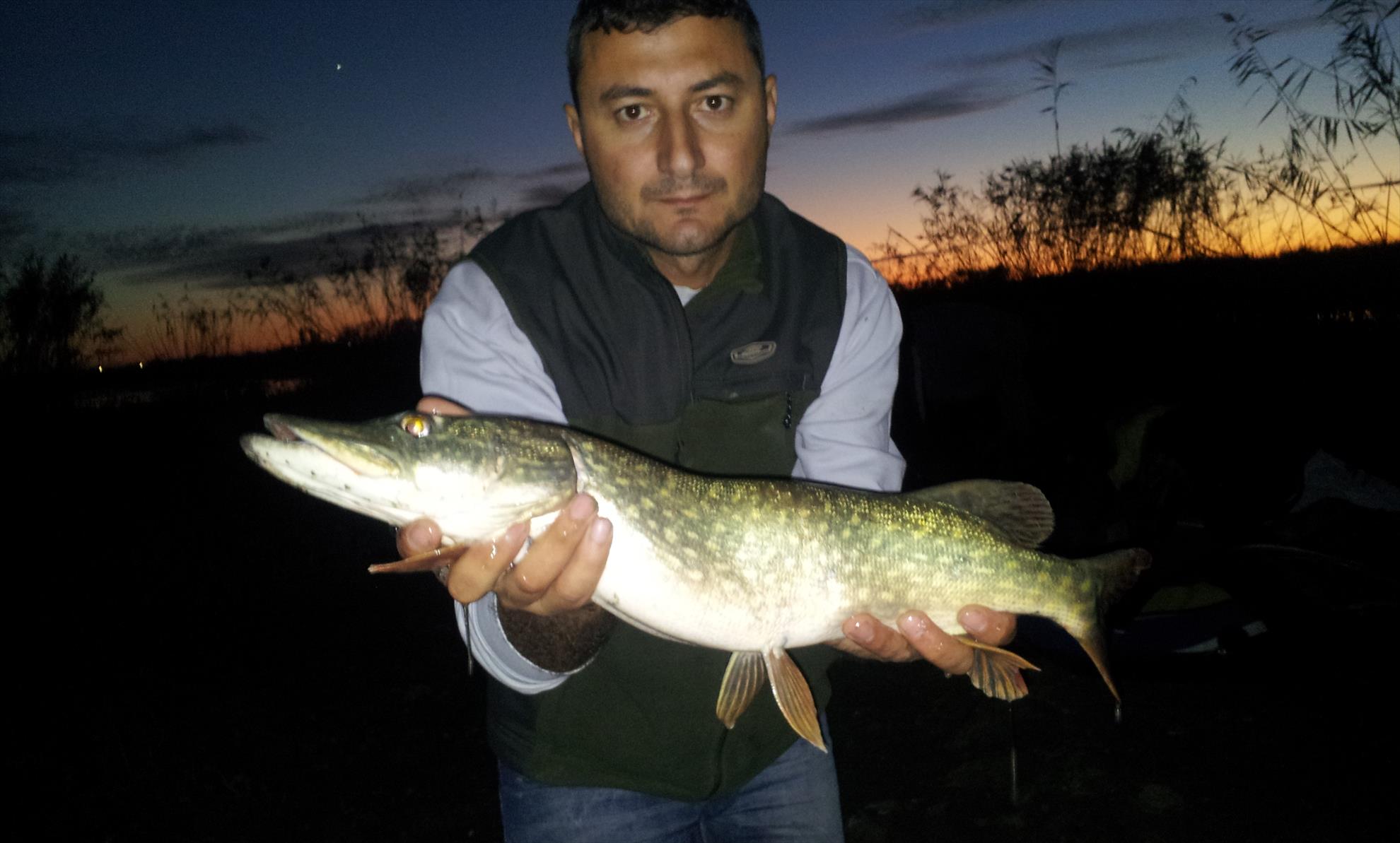 RAPITOR - 20131108173253.jpg